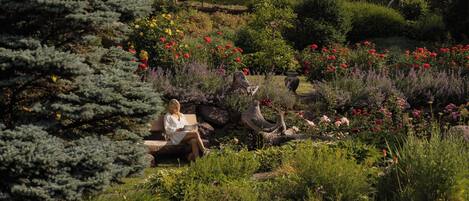 A woman sitting on a bench in a garden with various plants and flowers.