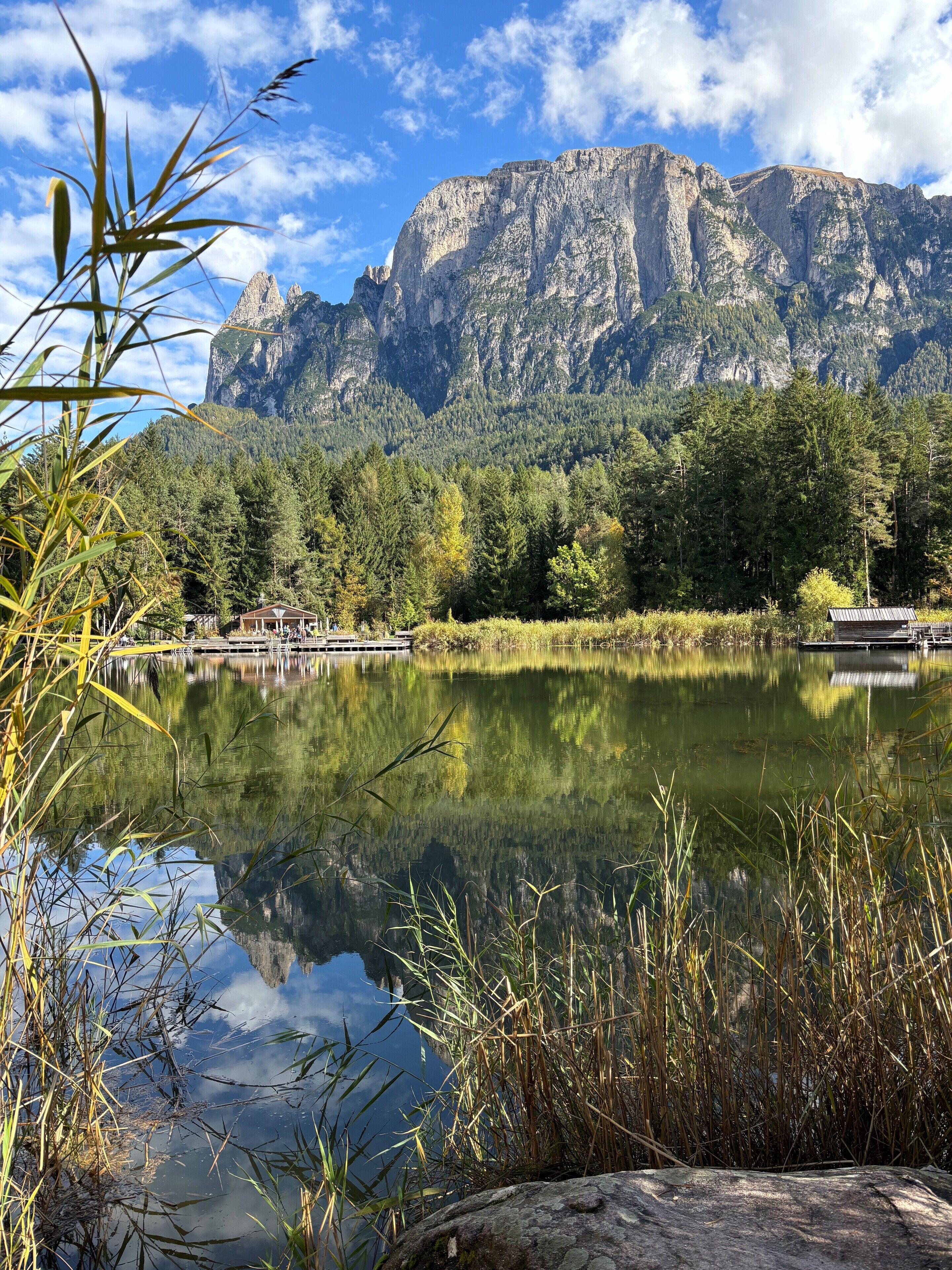 A serene lake with a mountain backdrop, surrounded by dense forest.