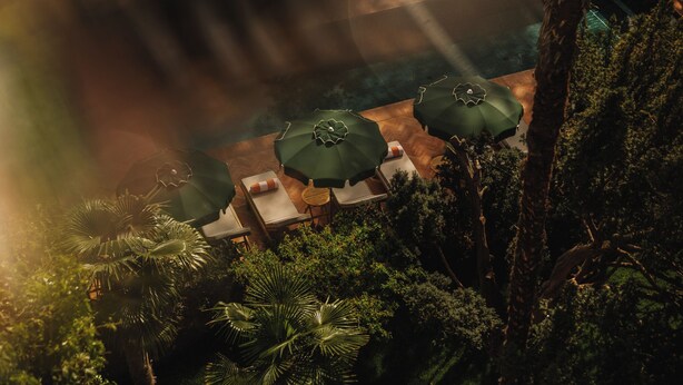 Un espace extérieur aménagé avec des tables et des parasols verts, entouré d’une végétation luxuriante.