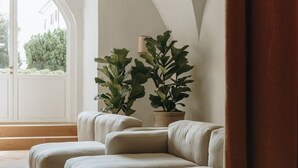 Un salon moderne avec un canapé d’angle, deux plantes en pot et une grande fenêtre donnant sur un paysage verdoyant.