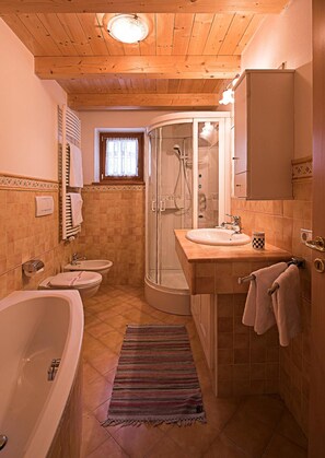 Shower, free toiletries, hair dryer, bidet