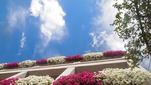 A building with multiple balconies adorned with white and pink flowers against a clear blue sky. - Soggiorno Lo Stellino (Siena)