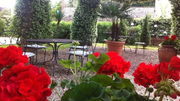 Un jardín con un banco, plantas en macetas y flores rojas.