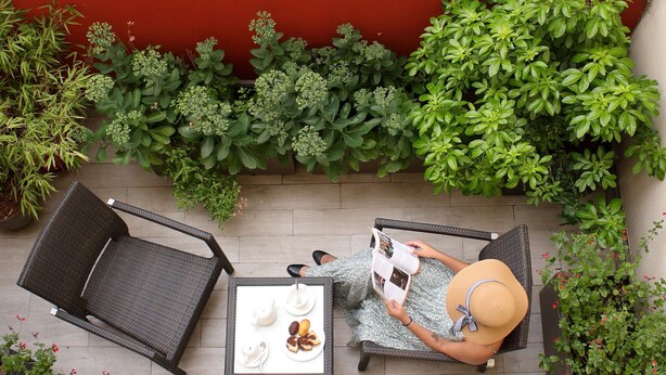 A person reading a magazine at a table with tea cups and pastries, surrounded by lush greenery. - Hôtel du Prince Eugène (Paris)