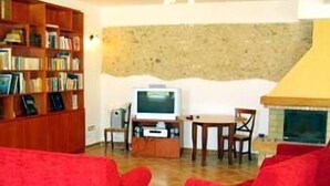 Una sala de estar con chimenea, televisor y estantería.