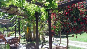 Un área de estar al aire libre con techo, mesas y sillas, rodeada de exuberante follaje y plantas en flor.