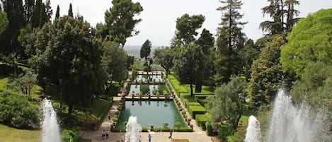 Un jardín formal con una fuente central, setos cuidadosamente recortados y una variedad de árboles.