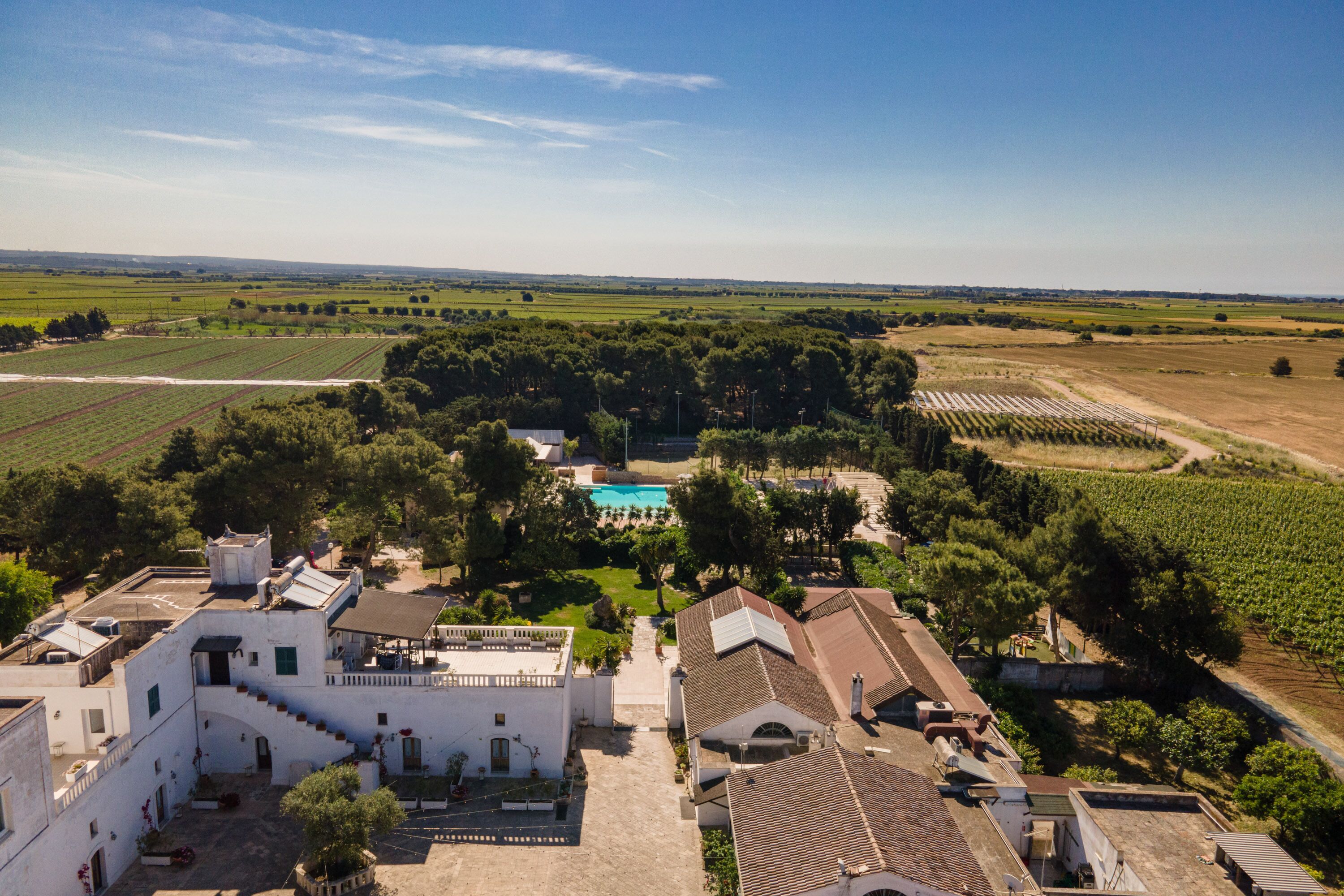 An aerial view of a property with a swimming pool, vineyard, and white buildings with terracotta roofs.