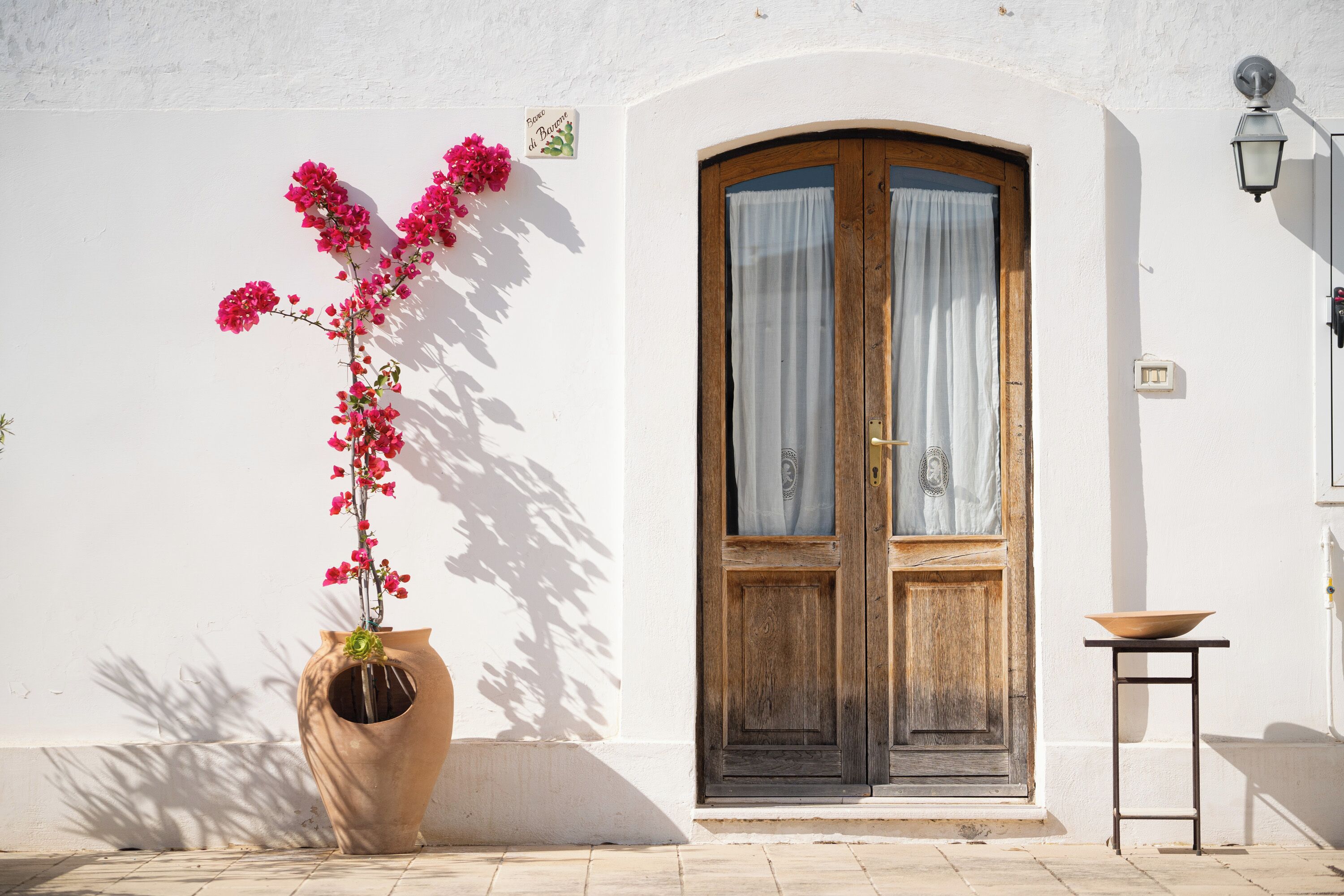A white wall with a large wooden door, a potted plant with pink flowers, and a small table with a bowl.