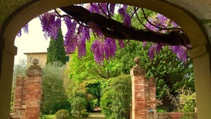 An arched entrance with a brick pathway leading to a building, surrounded by lush greenery and purple flowering vines. - Palazzo di Valli (Siena)
