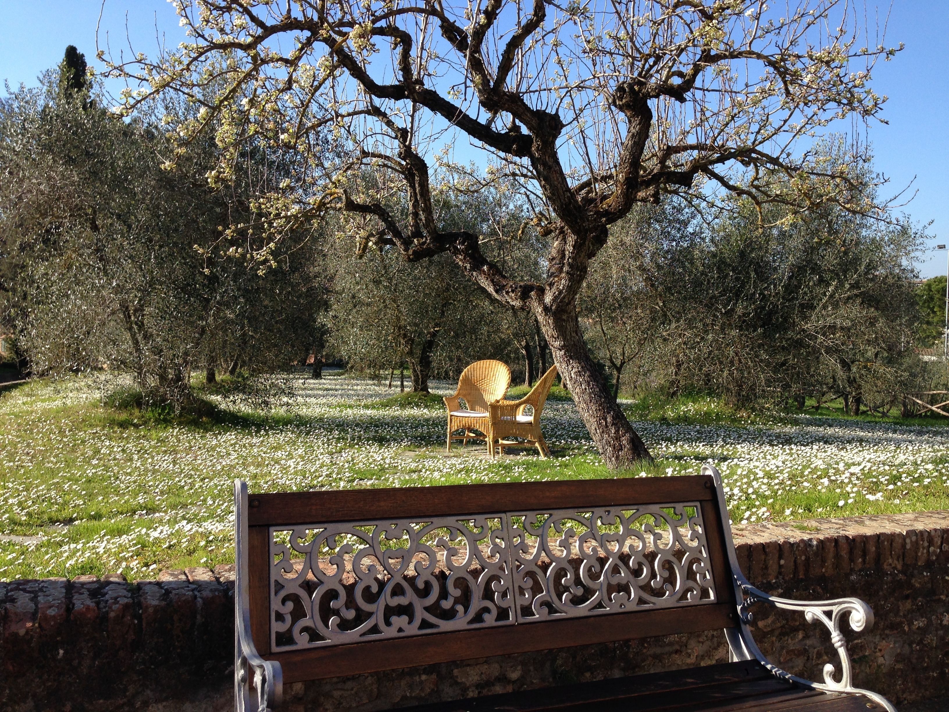 A bench with intricate metalwork, set against a backdrop of trees and a field of white flowers.