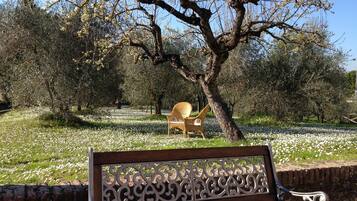 A bench with intricate metalwork, set against a backdrop of trees and a field of white flowers.