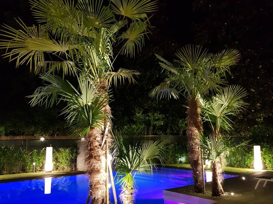 Seasonal outdoor pool, an infinity pool, pool umbrellas, sun loungers