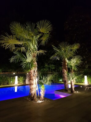 Zona de piscina nocturna con palmeras y luces iluminadas.