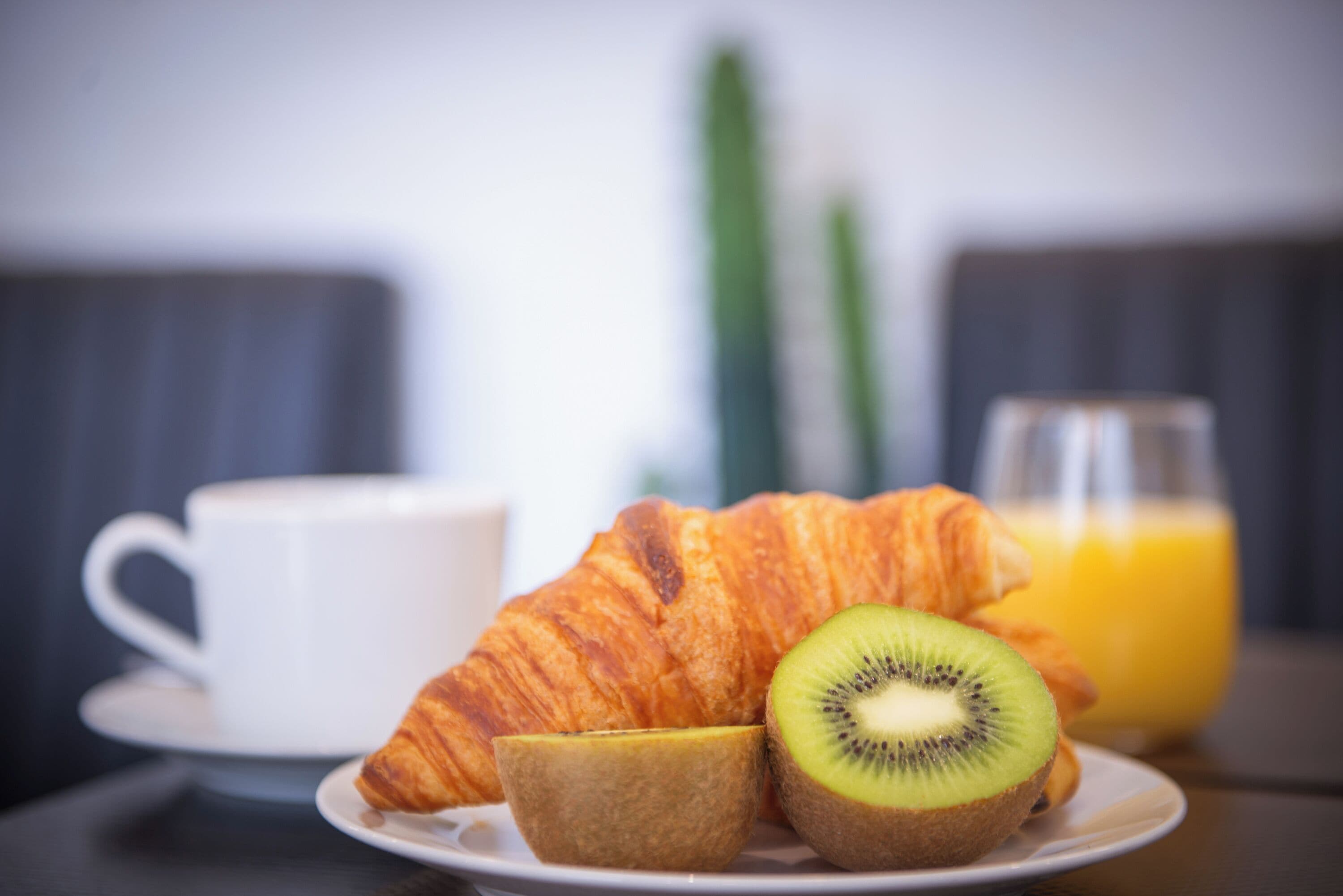 Photo - Hotel Cactus