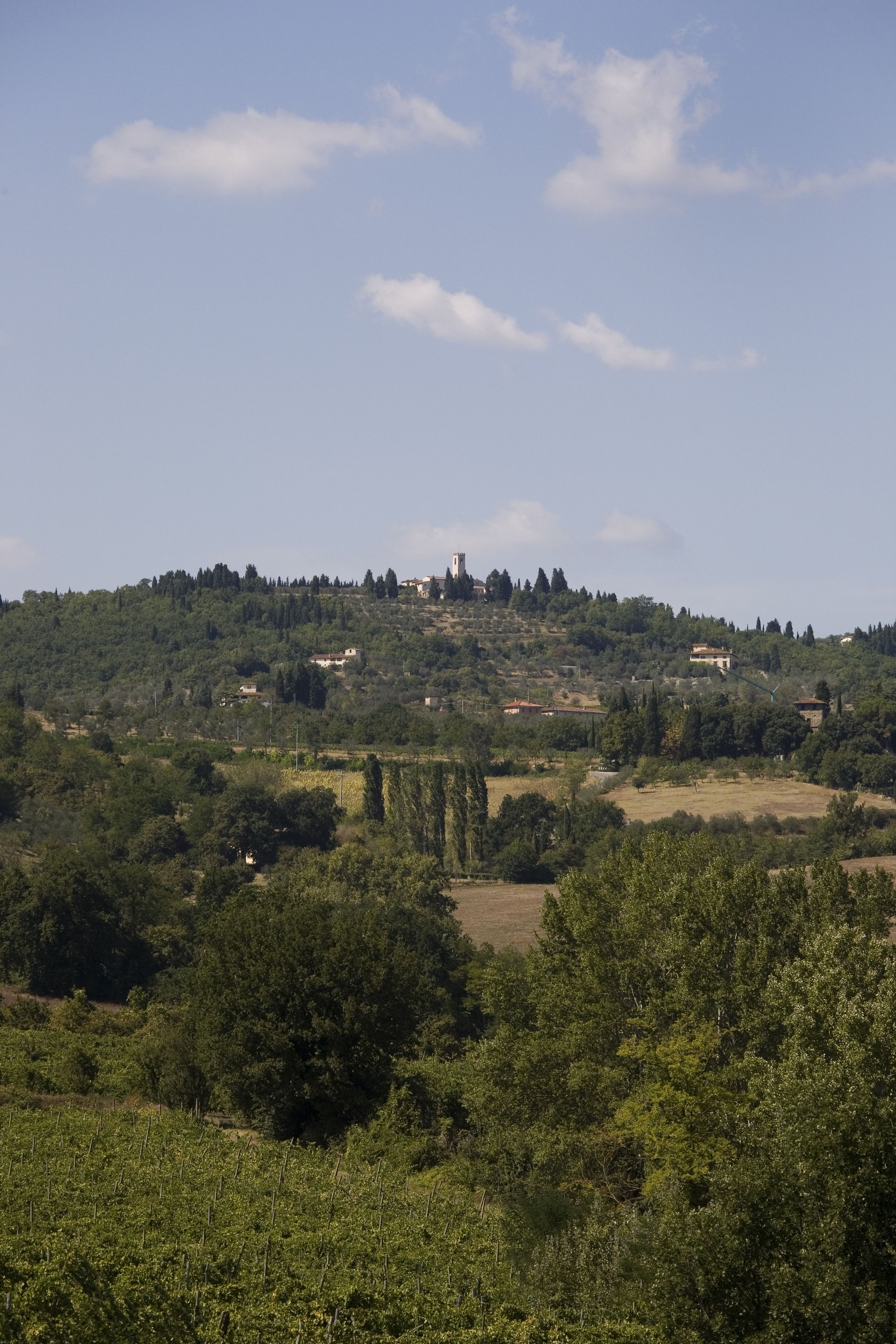A rural landscape with a hilltop village, vineyards, and scattered trees.