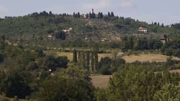 A rural landscape with a hilltop village, vineyards, and scattered trees.