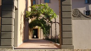 Um corredor com um arco coberto de hera que leva à entrada de um edifício.