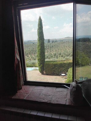 View from room