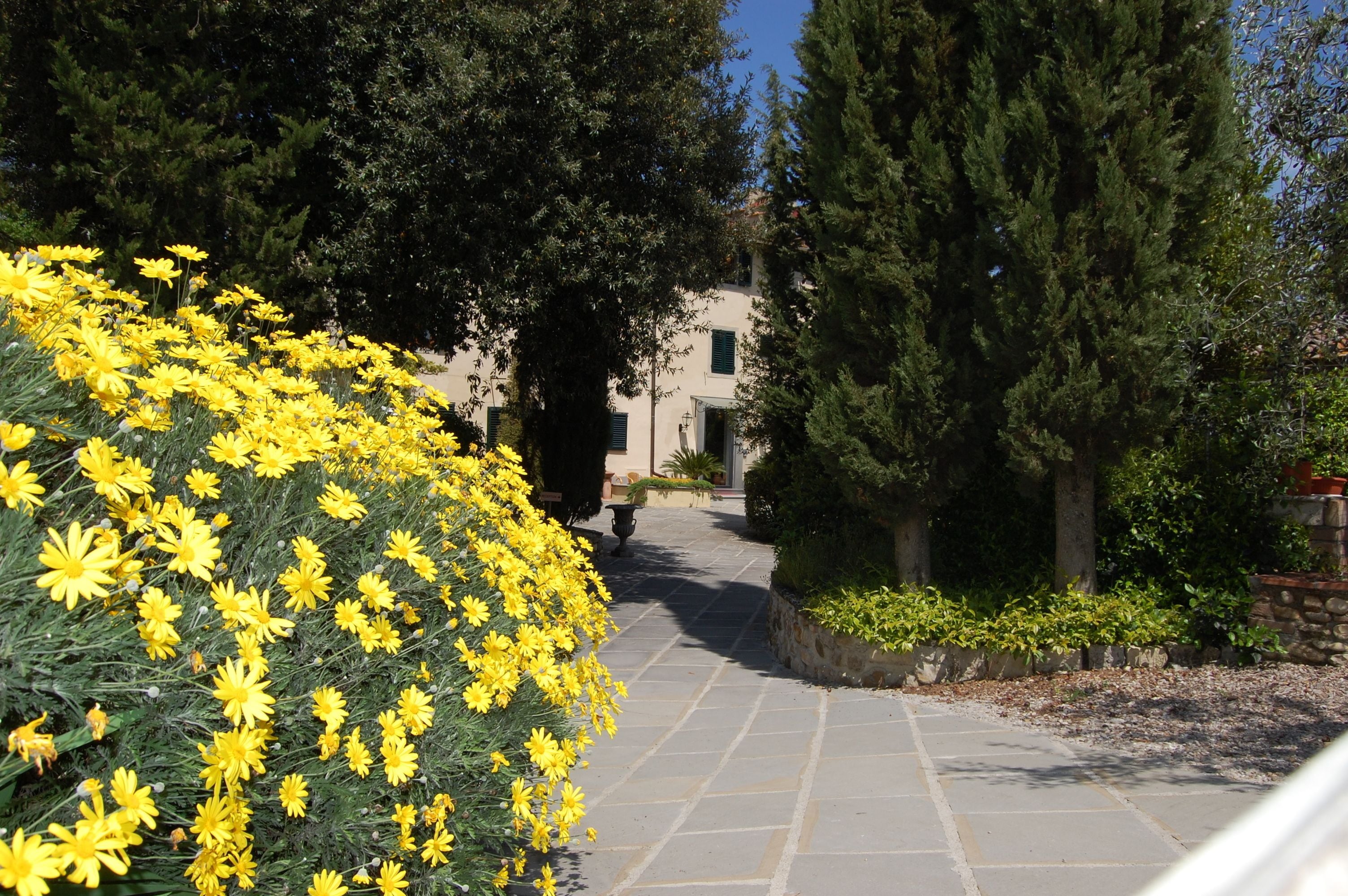 Ein Weg führt zu einem Gebäude, das von üppigem Grün und gelben Blumen umgeben ist.