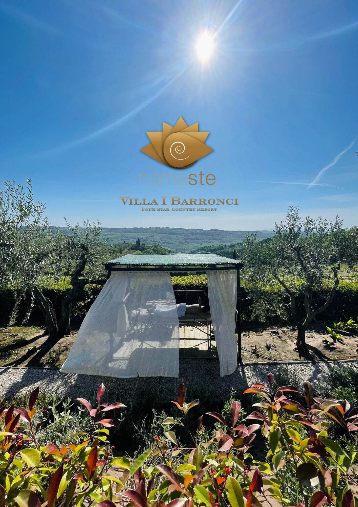 Vue dégagée sur la Villa I Barronci, un complexe hôtelier quatre étoiles situé à la campagne, avec un espace extérieur aménagé et baigné de soleil, entouré d’oliviers et de verdure.