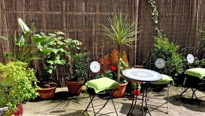 An outdoor patio with a round table and chairs, surrounded by potted plants and a bamboo fence. - Baggot Court Townhouse (Dublin)