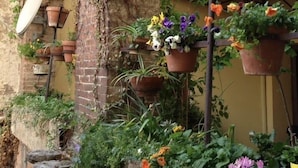 Un edificio rústico con fachada de ladrillo, muros cubiertos de hiedra y varios maceteros colgantes con diversas plantas y flores.