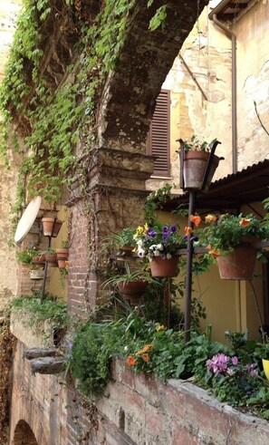 Terrace/patio - Hotel Umbria (Perugia)