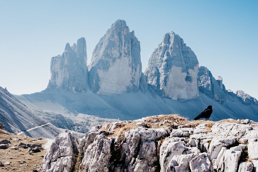 Eine bergige Landschaft mit felsigem Gelände und einem Vogel, der auf einem Felsen sitzt.