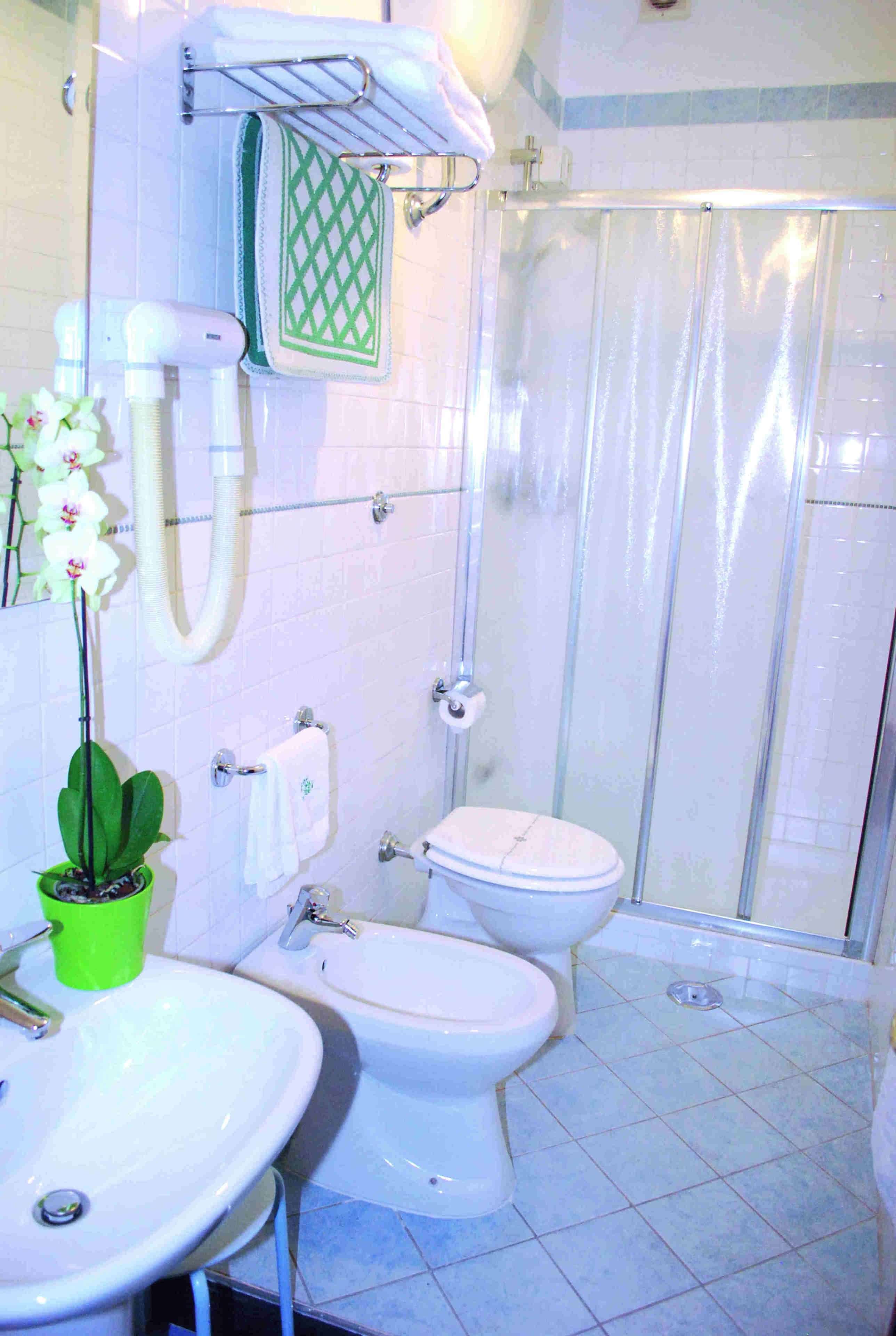 shower, rainfall showerhead, hair dryer, bidet