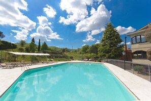 Outdoor pool, sun loungers