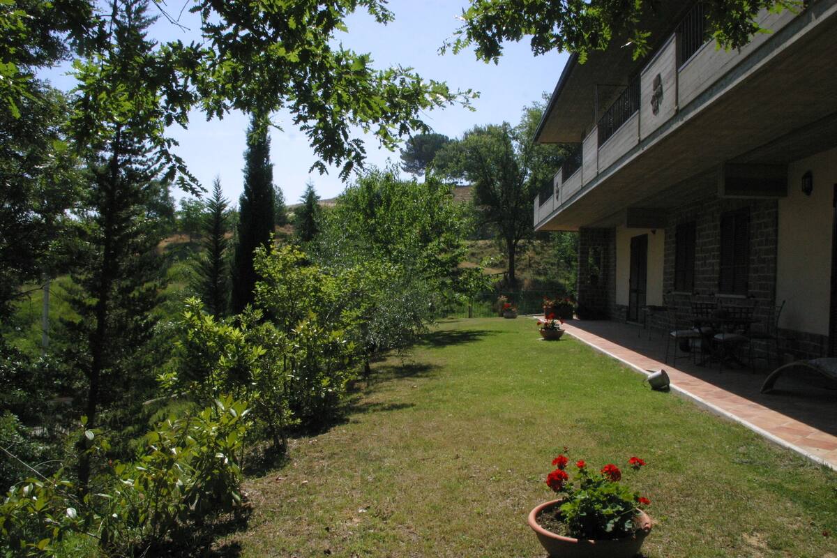 Une cour avec une pelouse, des plantes en pot et un bâtiment doté d’une terrasse.