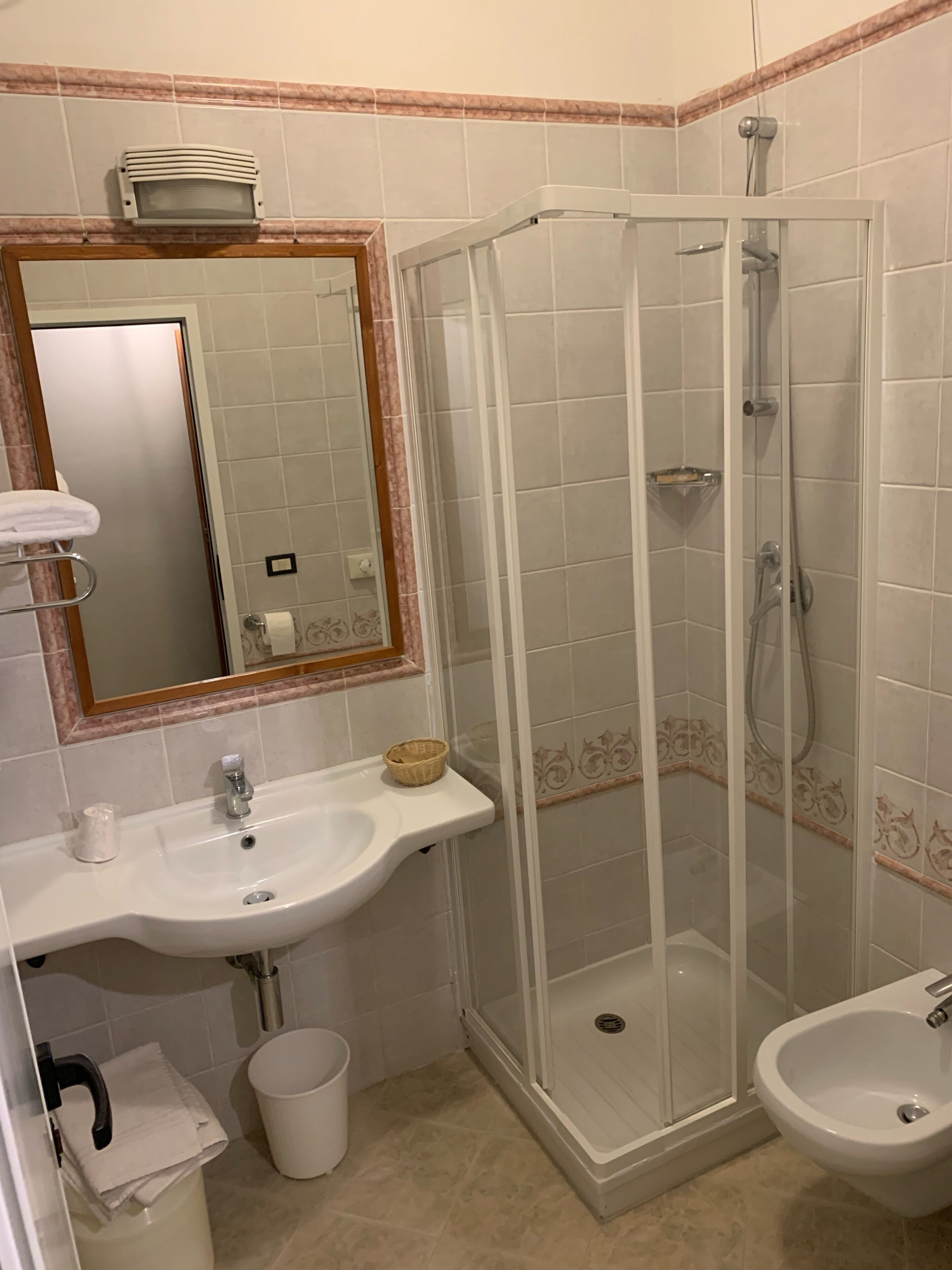 A bathroom with a sink, mirror, shower, and bidet.