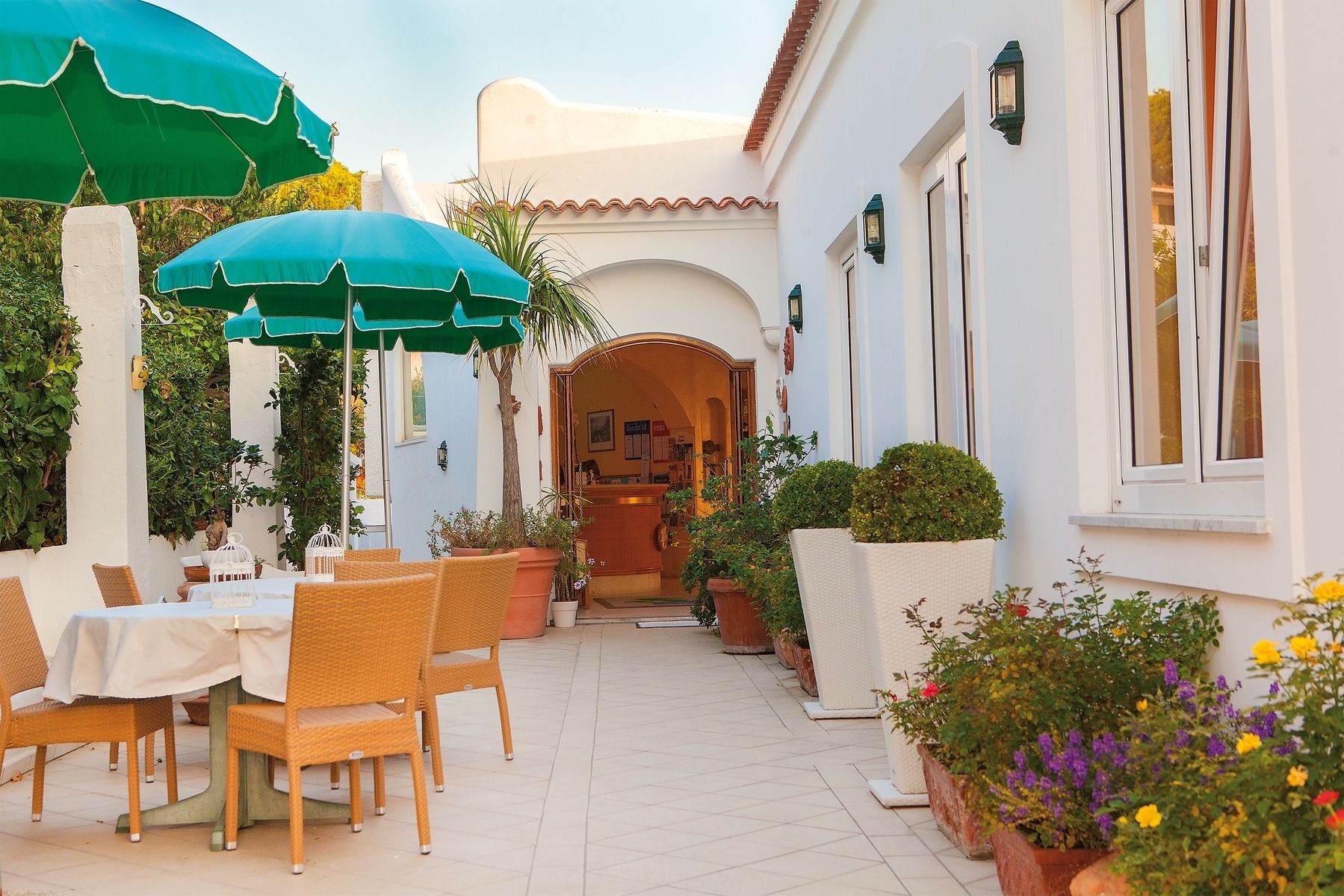 An outdoor patio with wicker furniture and green umbrellas, surrounded by potted plants and flowers.
