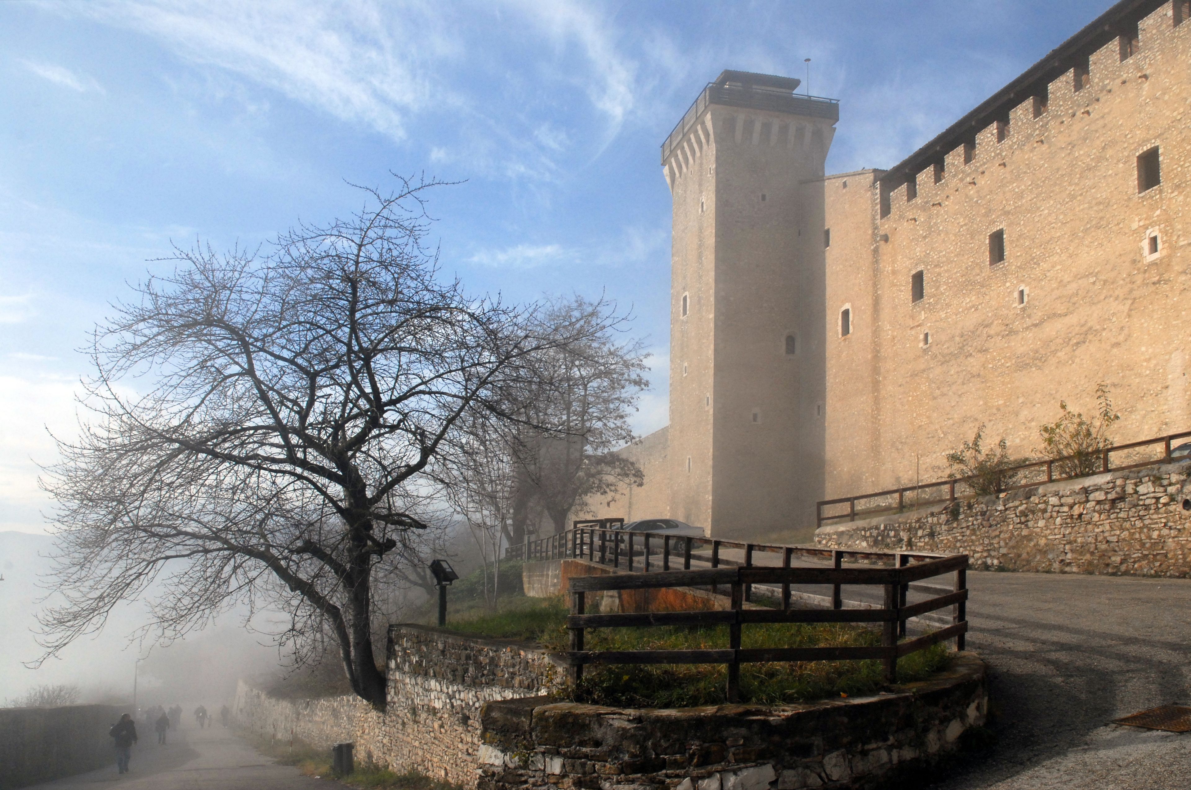 A historic stone building with a tall tower, a paved pathway, and a leafless tree.