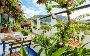 Terrace/patio - Umberto a Mare (Forio)
