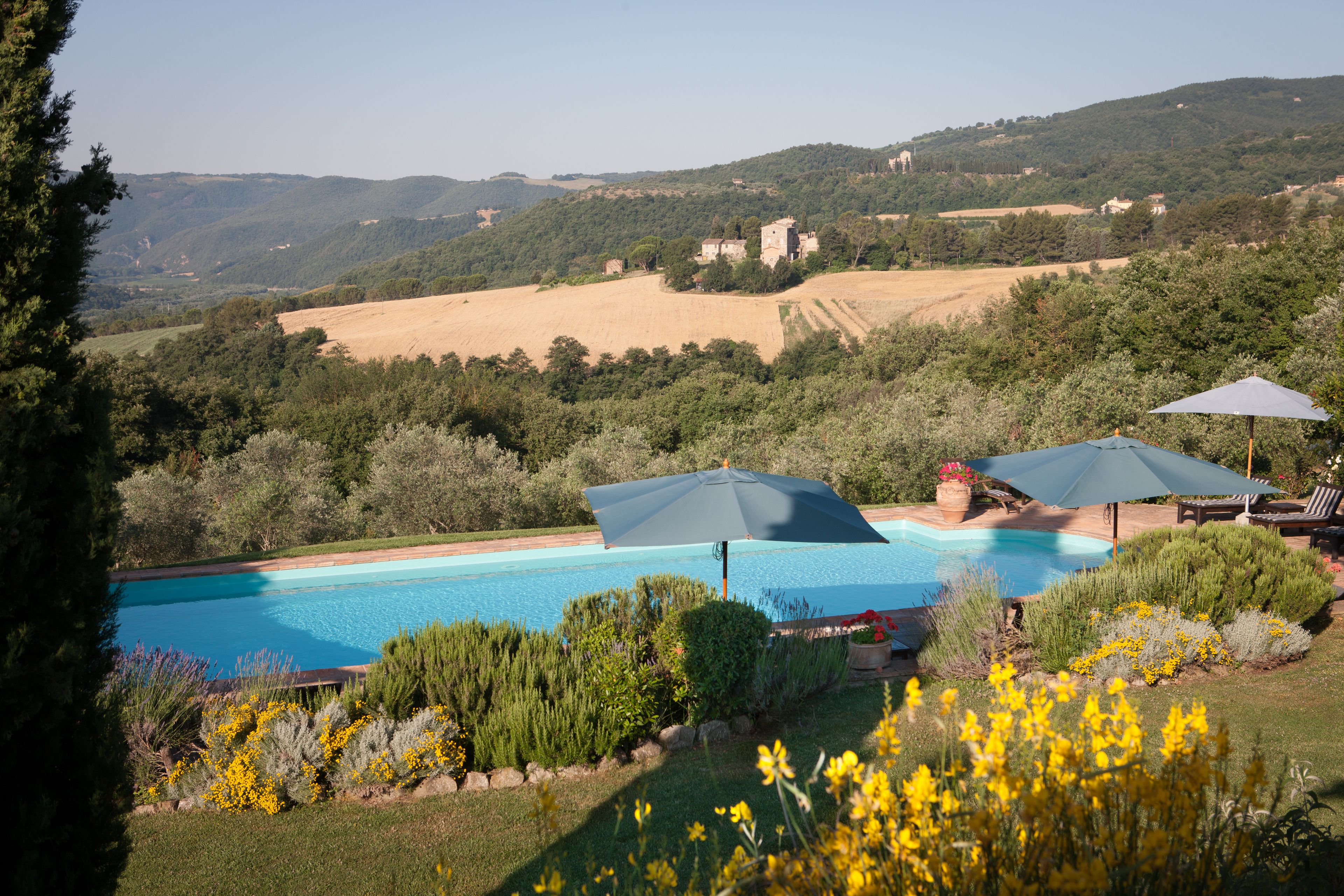 Una piscina rodeada de exuberante vegetación y colinas al fondo.