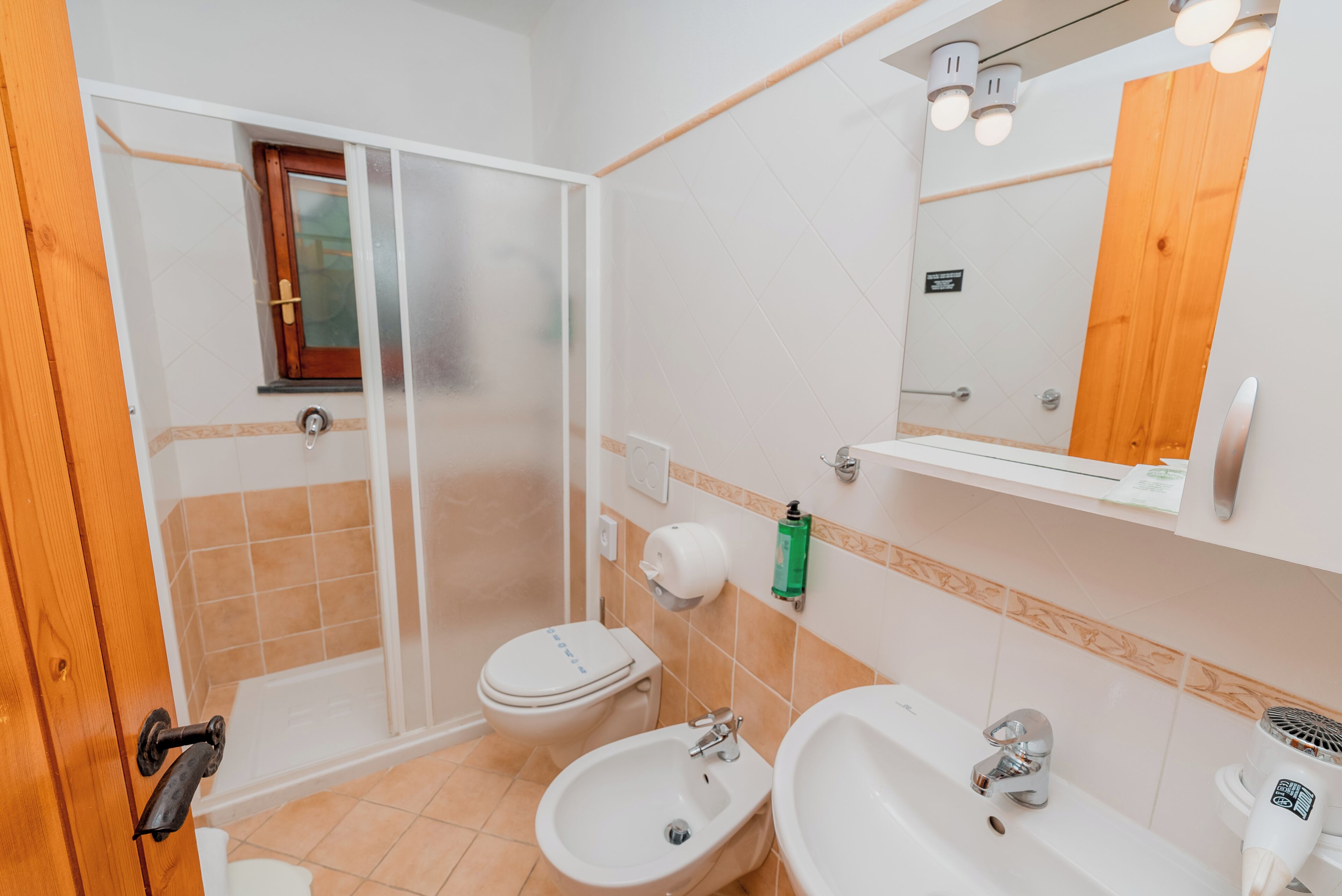 A bathroom with a shower, toilet, bidet, sink, and mirror.
