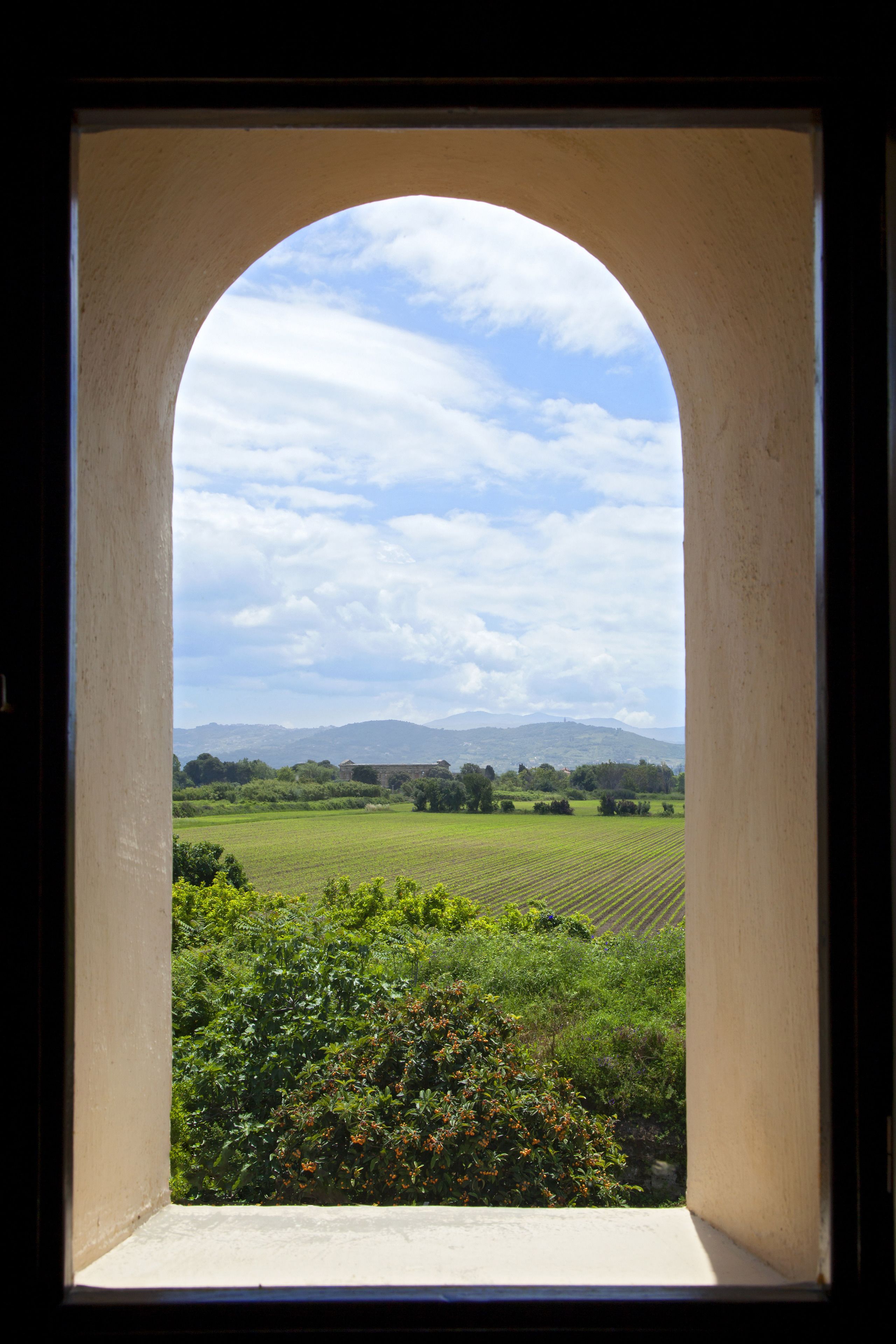 standard double room | view from room