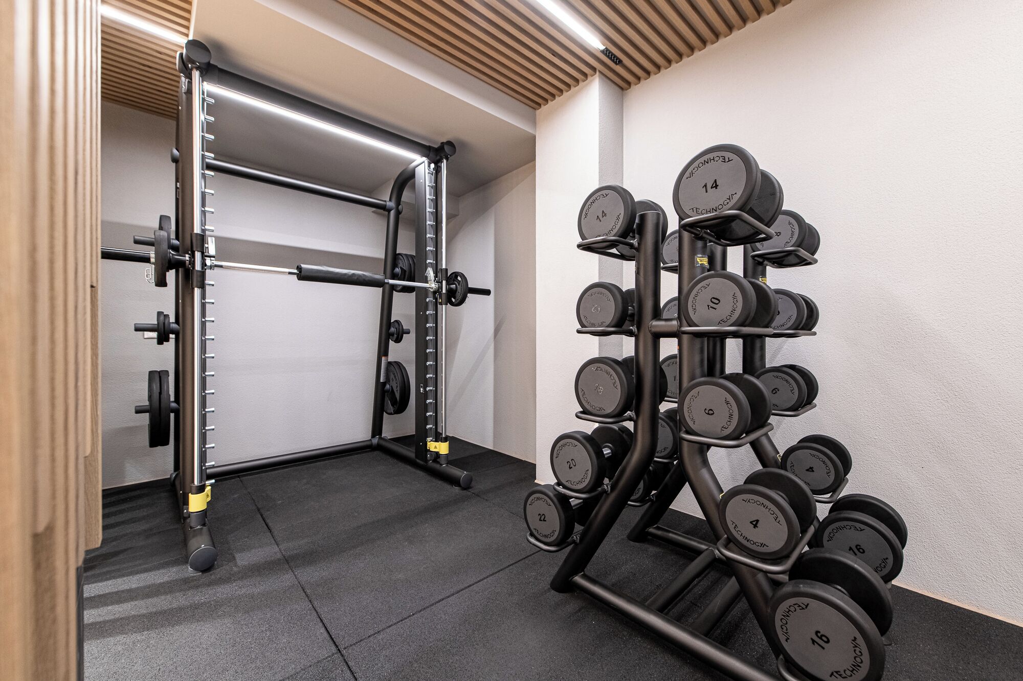 Un gimnasio con una jaula de sentadillas, barra y un estante con mancuernas.