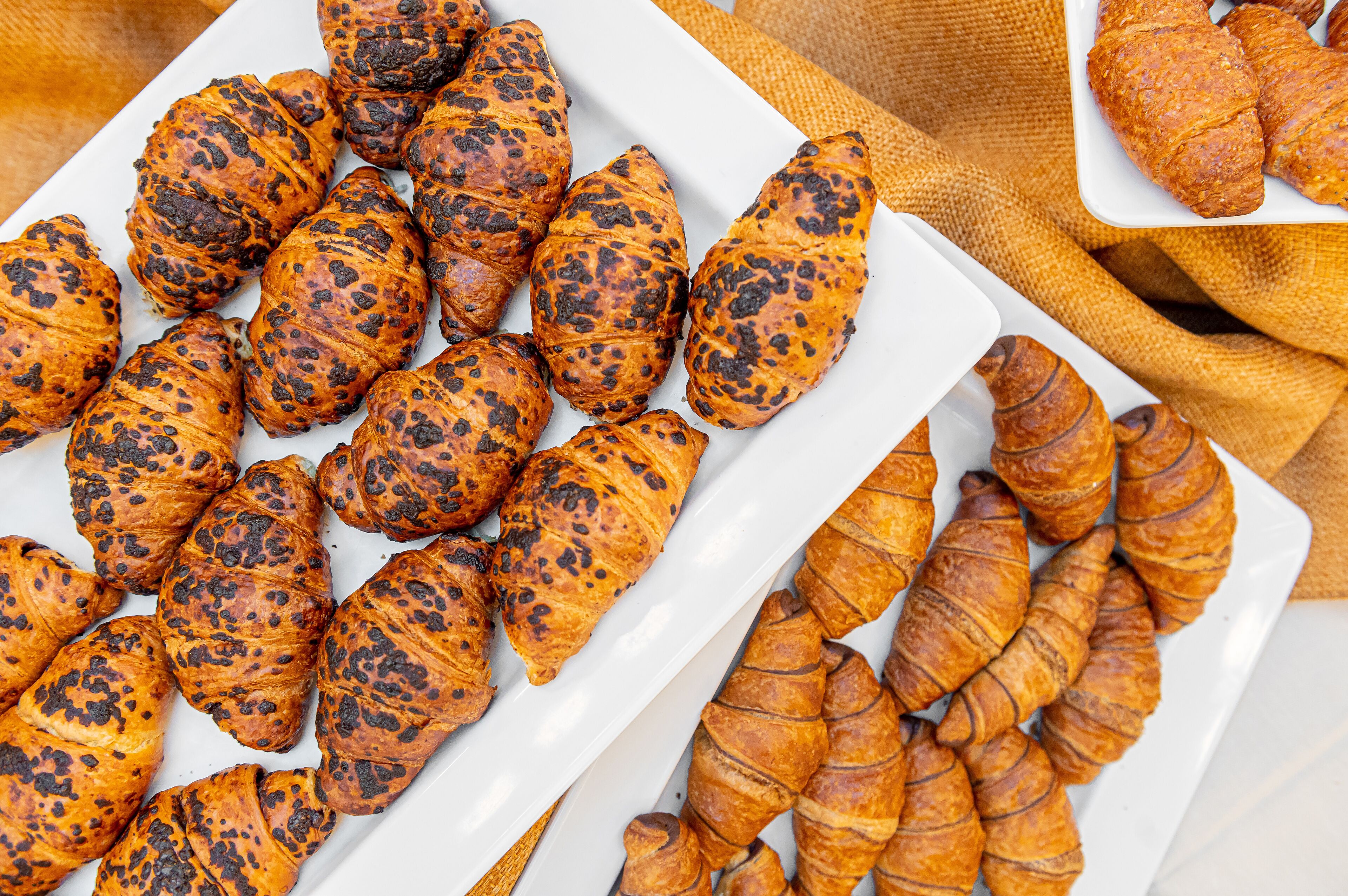 Foto - Hotel Ausonia