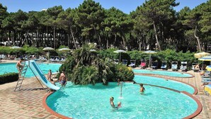 Un espace piscine comprenant plusieurs bassins, des chaises longues et des parasols.