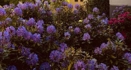 Hotel Villa Malpensa