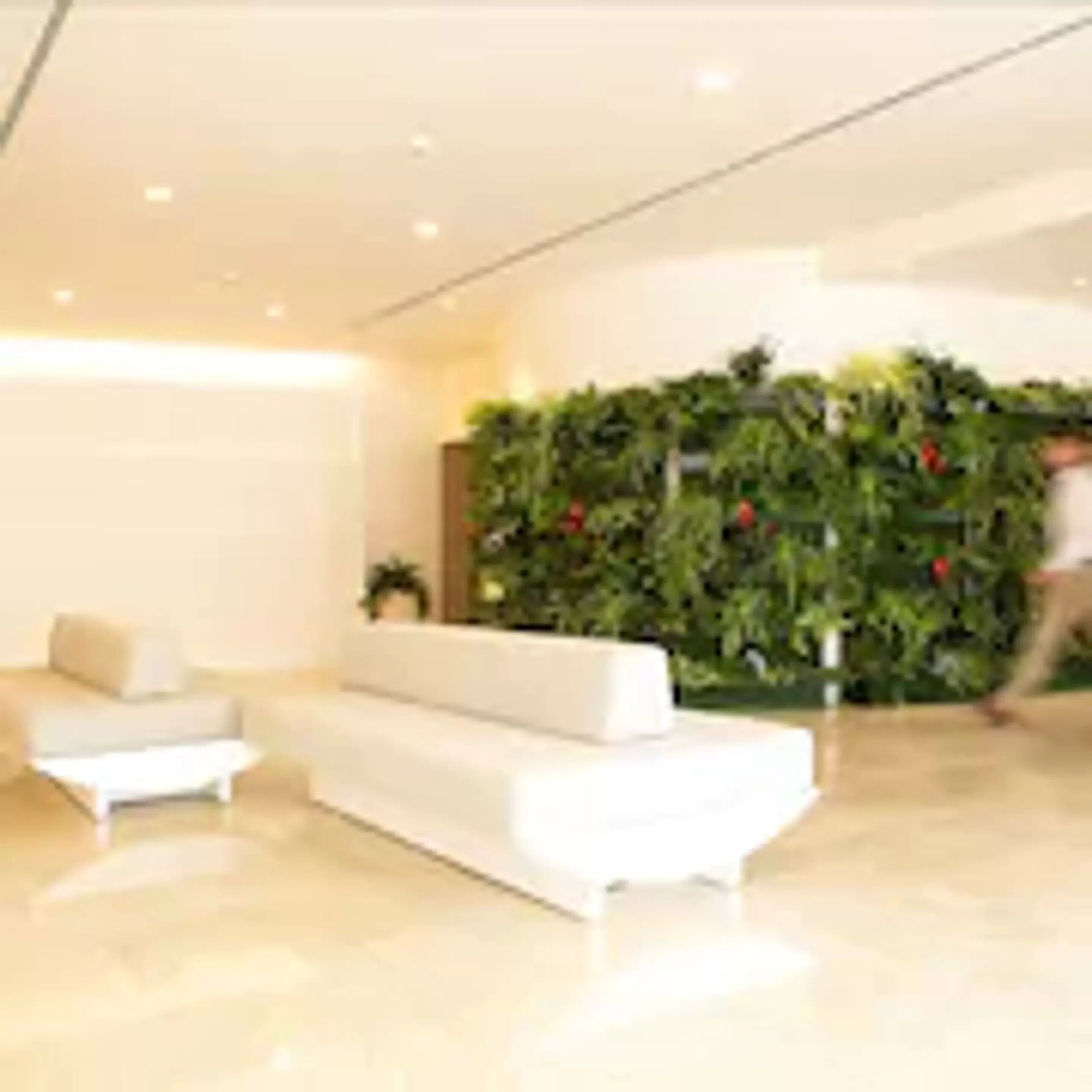 Foto - Hotel Sabina Playa