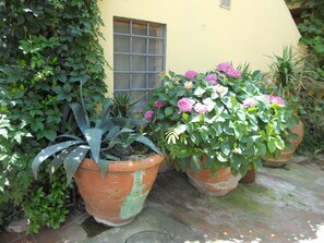 Property grounds - Agriturismo Le Macine (Florence)