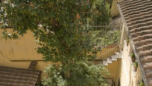Un patio al aire libre con mesas y sillas, rodeado de plantas en macetas y un árbol grande.