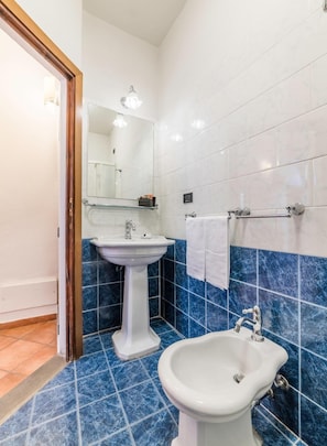Habitación familiar | Baño | Ducha, secador de pelo, bidé y toallas