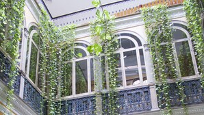 A multi-level atrium with arches, a staircase, and hanging plants. - Taberna del Alabardero (Seville)