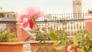 A rooftop terrace with terracotta planters and a pink rose in the foreground. - Taberna del Alabardero (Seville)