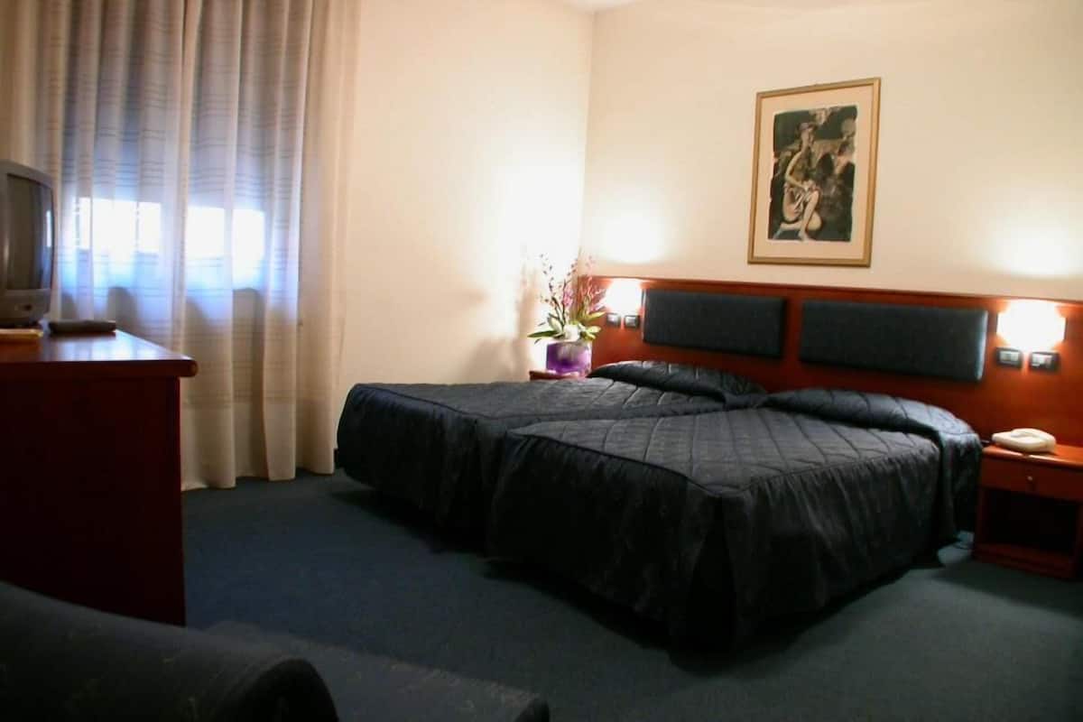 Standard Double Room | Minibar, WiFi (free)